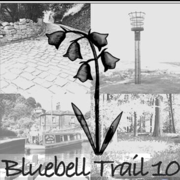 BLUEBELL TRAIL – SUNDAY 3RD MAY, 2026